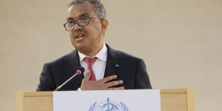 Advertencia del Director General de la OMS sobre Hantavirus y Ébola