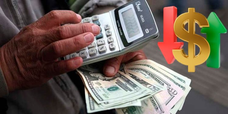 Cotizaciones del dólar oficial y el dólar blue para hoy