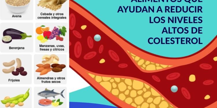 Colesterol: seis alimentos clave para su prevención y las cantidades recomendadas