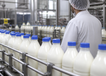 A pesar de quiebras, la producción láctea alcanzó récords en años recientes
