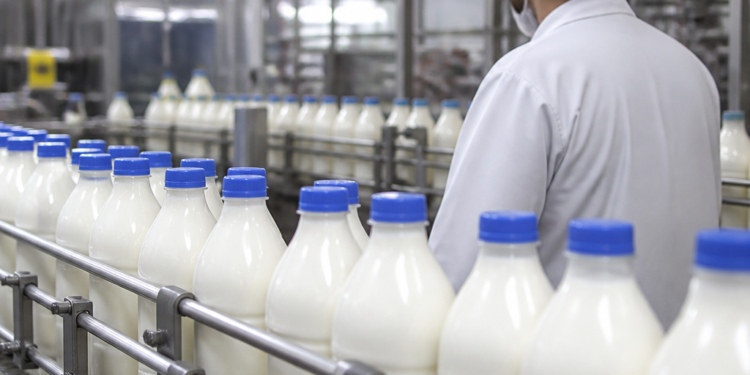A pesar de quiebras, la producción láctea alcanzó récords en años recientes