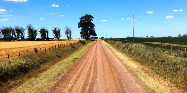 Estudio revela que el 80% de los caminos rurales en una región crucial para la agricultura están deteriorados, generando significativas pérdidas económicas