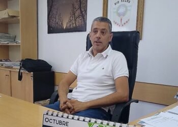 Río Negro se posiciona como líder en inversión del RIGI y su ministro identifica desafíos