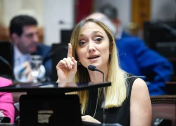 Villarruel analiza el pedido de Fernández Sagasti para votar de manera virtual por su embarazo