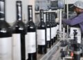 El preocupante panorama del costo del vino en Argentina