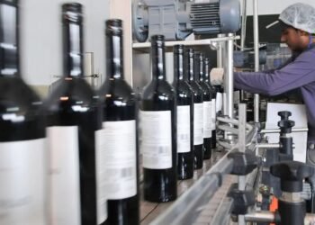 El preocupante panorama del costo del vino en Argentina