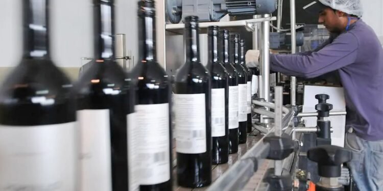 El preocupante panorama del costo del vino en Argentina