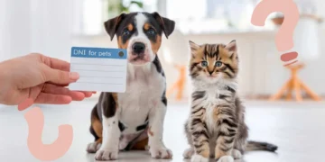 Villa María implementa un DNI obligatorio para perros y gatos: posibles multas por incumplimiento