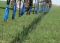 El precio de los fertilizantes golpeó a Argentina y encareció las importaciones en US$180 millones