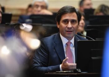 Goerling cuestionó un posible acuerdo entre el PRO y LLA y pidió construir una alternativa electoral