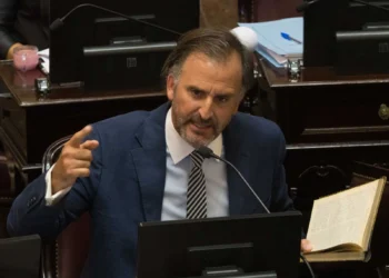 La firme respuesta de Benegas Lynch a una senadora del oficialismo por su participación en el debate de la Ley de Tierras