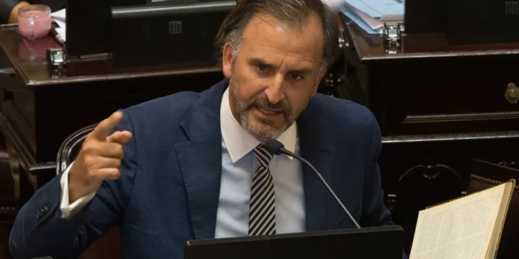 La firme respuesta de Benegas Lynch a una senadora del oficialismo por su participación en el debate de la Ley de Tierras