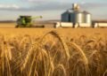 Argentina tiene una oportunidad para ampliar sus exportaciones agroindustriales, pero enfrenta cinco desafíos clave