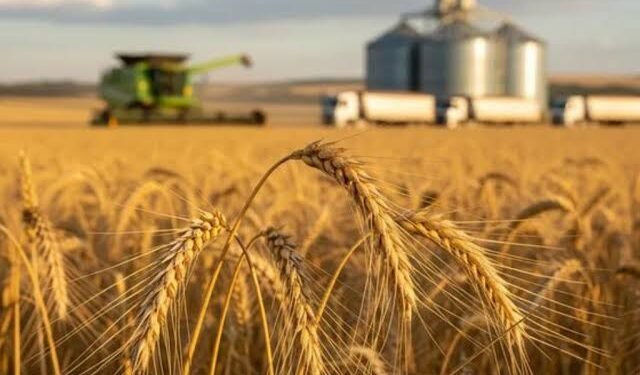 Argentina tiene una oportunidad para ampliar sus exportaciones agroindustriales, pero enfrenta cinco desafíos clave