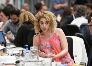 Endeudamiento, fondos reservados y IOSFA: las críticas de una diputada que se alejó de La Libertad Avanza