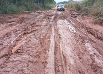 Reclamo por la falta de información sobre fondos destinados a caminos rurales en San Pedro