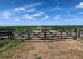 La Justicia ordenó preservar los registros sobre tierras rurales de la provincia de Buenos Aires