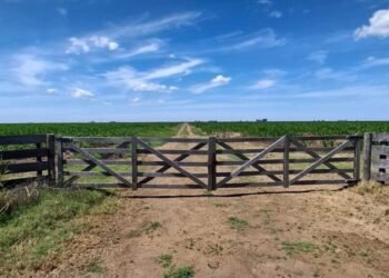 La Justicia ordenó preservar los registros sobre tierras rurales de la provincia de Buenos Aires